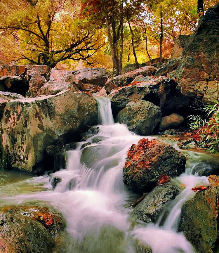 پیشنهادات سفر یکروزه در پاییز: سراب رویایی صحنه