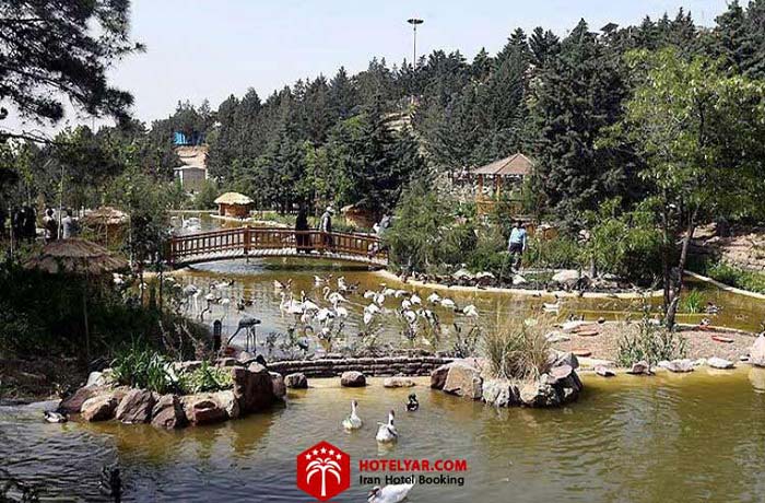 اردک و قو باغ پرندگان