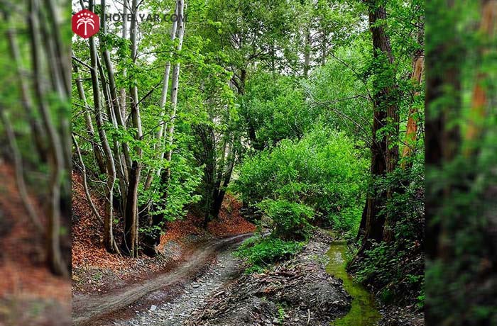 طبیعت زیبای شاندیز، زیبا و سحرآمیز