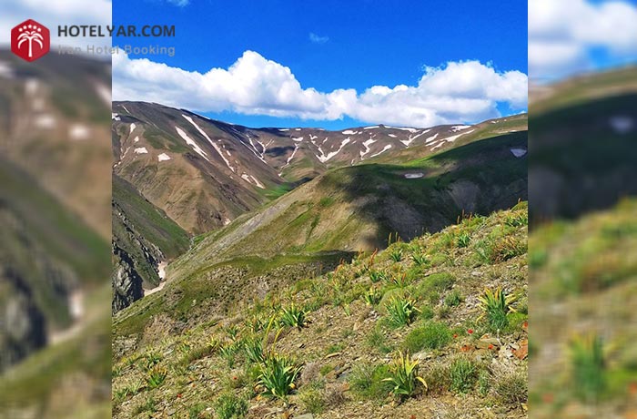 رشته کوه بینالود