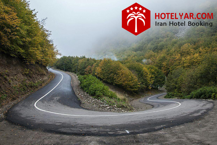 جنگل ارسباران ، راهنمای جامع بازدید از بهشتی سبز  و مه آلود در تبریز